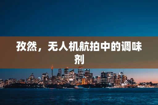 孜然，无人机航拍中的调味剂