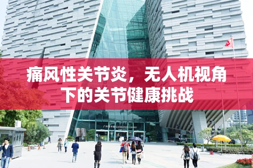 痛风性关节炎，无人机视角下的关节健康挑战