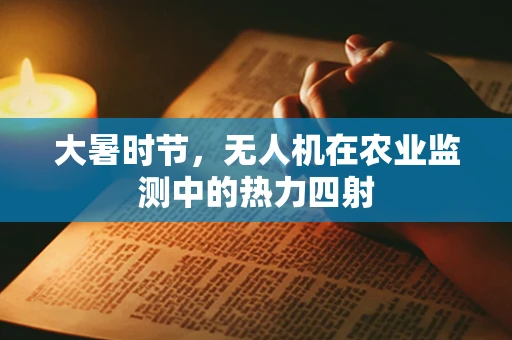 大暑时节，无人机在农业监测中的热力四射