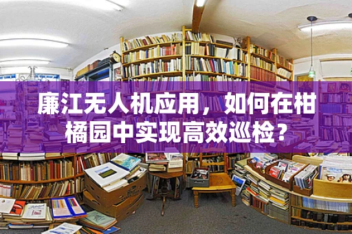 廉江无人机应用，如何在柑橘园中实现高效巡检？