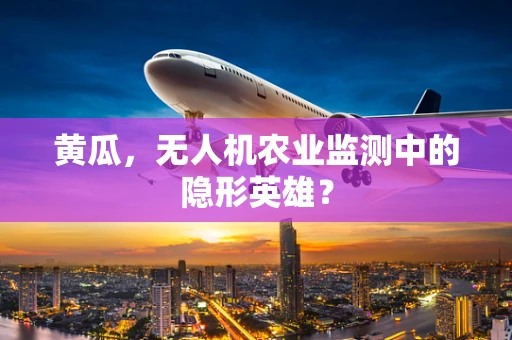 黄瓜，无人机农业监测中的隐形英雄？