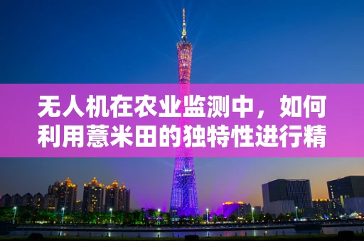 无人机在农业监测中，如何利用薏米田的独特性进行精准管理？