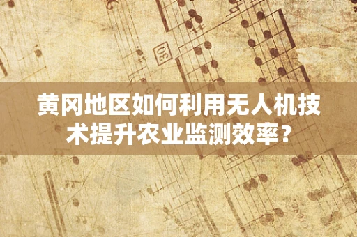 黄冈地区如何利用无人机技术提升农业监测效率？