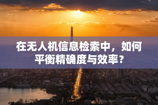 在无人机信息检索中，如何平衡精确度与效率？