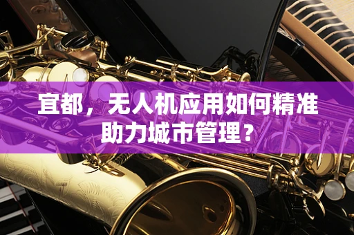 宜都，无人机应用如何精准助力城市管理？