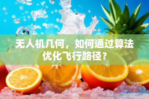 无人机几何，如何通过算法优化飞行路径？