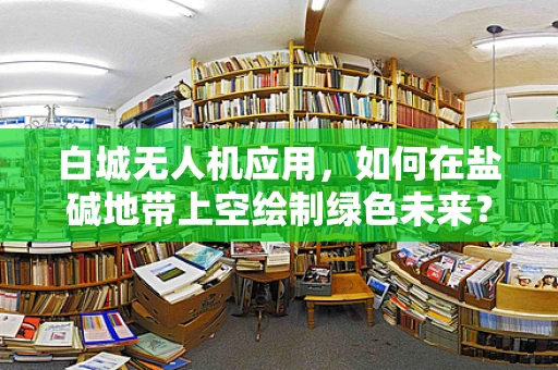 白城无人机应用，如何在盐碱地带上空绘制绿色未来？