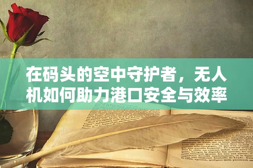 在码头的空中守护者，无人机如何助力港口安全与效率？