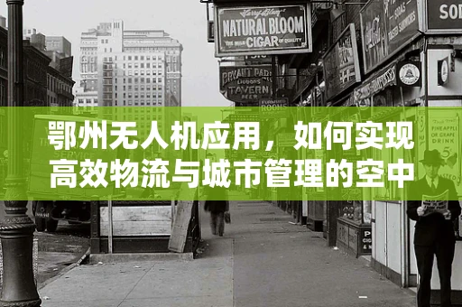 鄂州无人机应用，如何实现高效物流与城市管理的空中桥梁？