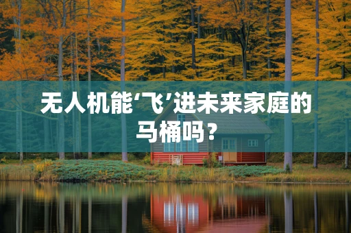 无人机能‘飞’进未来家庭的马桶吗？