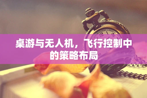 桌游与无人机，飞行控制中的策略布局