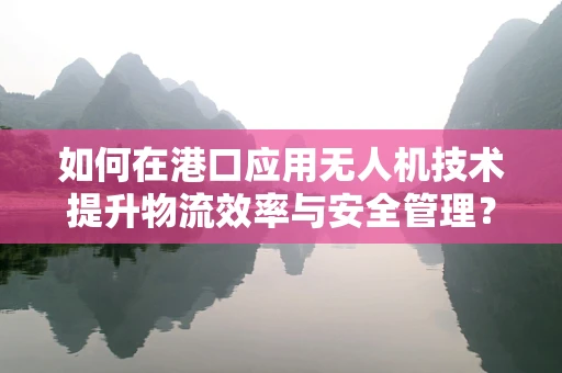 如何在港口应用无人机技术提升物流效率与安全管理？