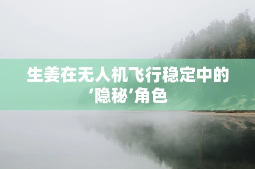 生姜在无人机飞行稳定中的‘隐秘’角色