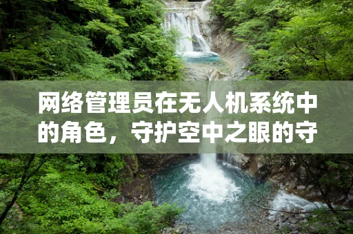 网络管理员在无人机系统中的角色，守护空中之眼的守护者？