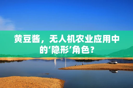 黄豆酱，无人机农业应用中的‘隐形’角色？