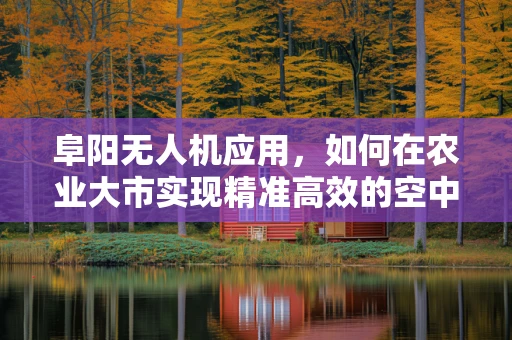 阜阳无人机应用，如何在农业大市实现精准高效的空中监测？