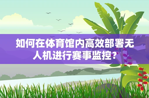 如何在体育馆内高效部署无人机进行赛事监控？