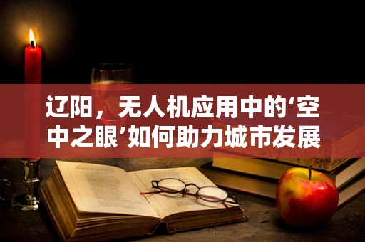 辽阳，无人机应用中的‘空中之眼’如何助力城市发展？