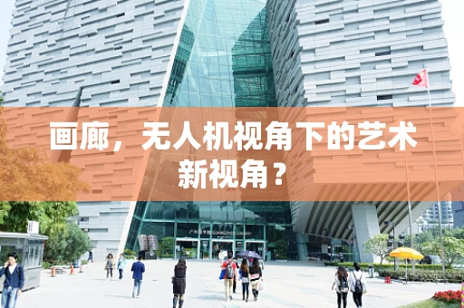 画廊，无人机视角下的艺术新视角？