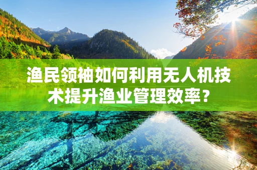 渔民领袖如何利用无人机技术提升渔业管理效率？