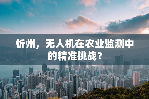 忻州，无人机在农业监测中的精准挑战？