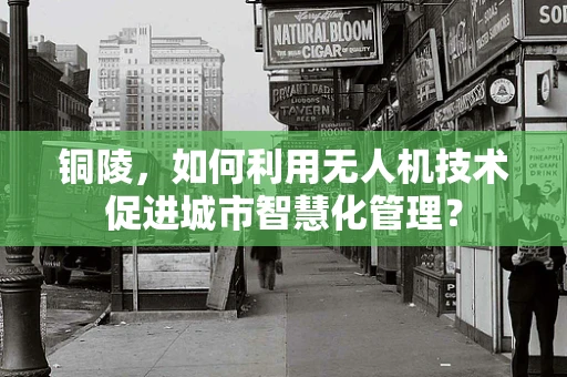 铜陵，如何利用无人机技术促进城市智慧化管理？