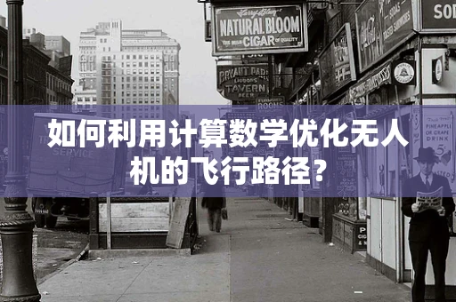 如何利用计算数学优化无人机的飞行路径？