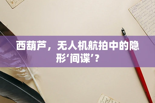 西葫芦，无人机航拍中的隐形‘间谍’？