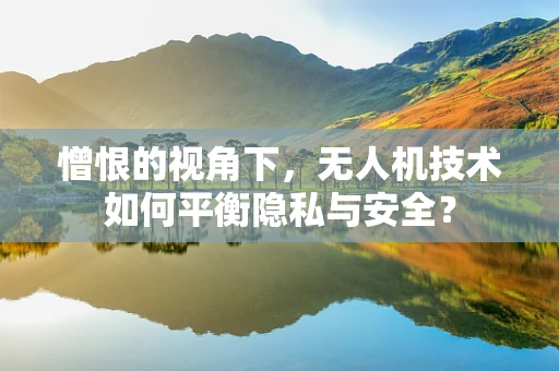 憎恨的视角下，无人机技术如何平衡隐私与安全？