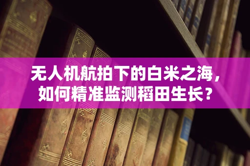 无人机航拍下的白米之海，如何精准监测稻田生长？