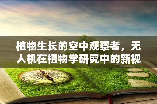植物生长的空中观察者，无人机在植物学研究中的新视角？