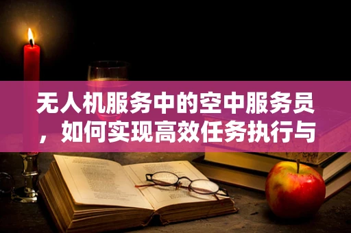 无人机服务中的空中服务员，如何实现高效任务执行与安全保障？