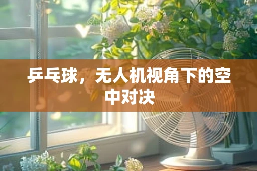 乒乓球，无人机视角下的空中对决