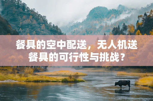 餐具的空中配送，无人机送餐具的可行性与挑战？