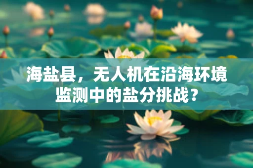 海盐县，无人机在沿海环境监测中的盐分挑战？