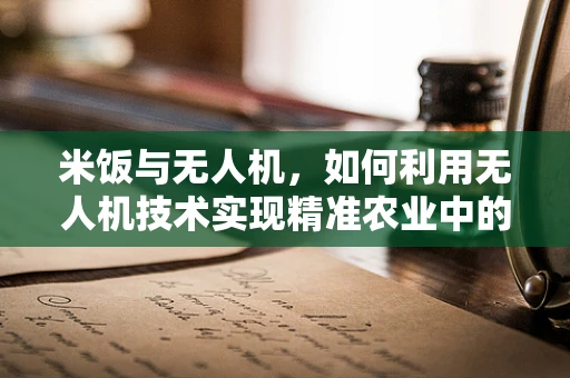 米饭与无人机，如何利用无人机技术实现精准农业中的智能施肥？