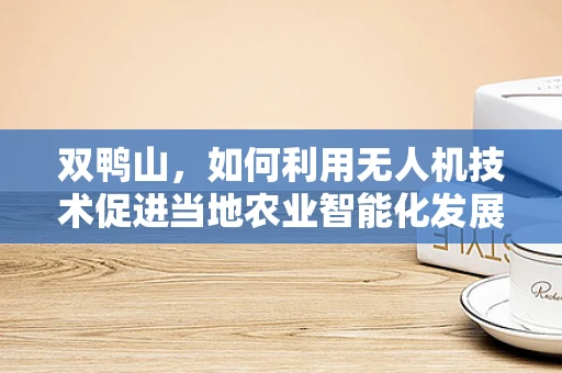 双鸭山，如何利用无人机技术促进当地农业智能化发展？
