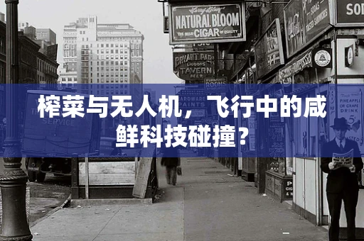 榨菜与无人机，飞行中的咸鲜科技碰撞？