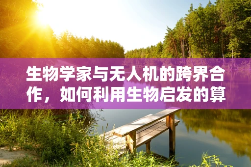 生物学家与无人机的跨界合作，如何利用生物启发的算法优化飞行路径？