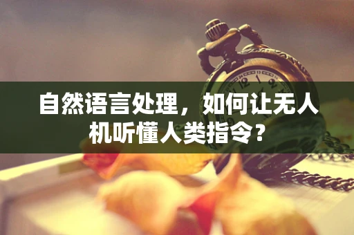 自然语言处理，如何让无人机听懂人类指令？