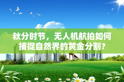 秋分时节，无人机航拍如何捕捉自然界的黄金分割？