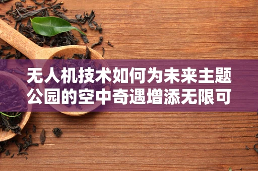 无人机技术如何为未来主题公园的空中奇遇增添无限可能？