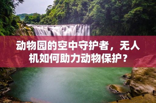 动物园的空中守护者，无人机如何助力动物保护？