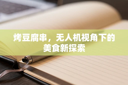 烤豆腐串，无人机视角下的美食新探索