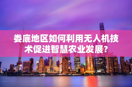 娄底地区如何利用无人机技术促进智慧农业发展？