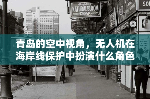 青岛的空中视角，无人机在海岸线保护中扮演什么角色？