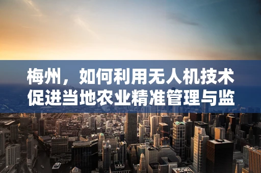 梅州，如何利用无人机技术促进当地农业精准管理与监测？