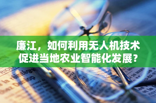 廉江，如何利用无人机技术促进当地农业智能化发展？