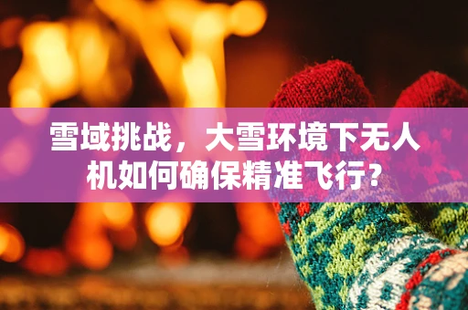 雪域挑战，大雪环境下无人机如何确保精准飞行？