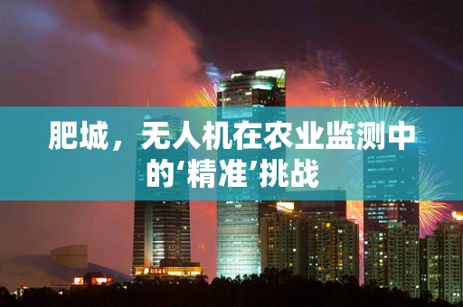 肥城，无人机在农业监测中的‘精准’挑战